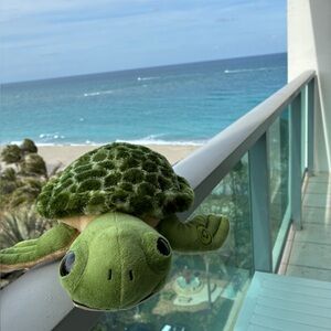 Meet your Posher, Holly